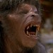 werewolf werewolf