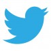 twitter logo 2013