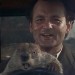 groundhog_day_68538